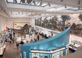 Great Hall of Dinosaurs, Yale Peabody Museum, photo by Dan Renzetti